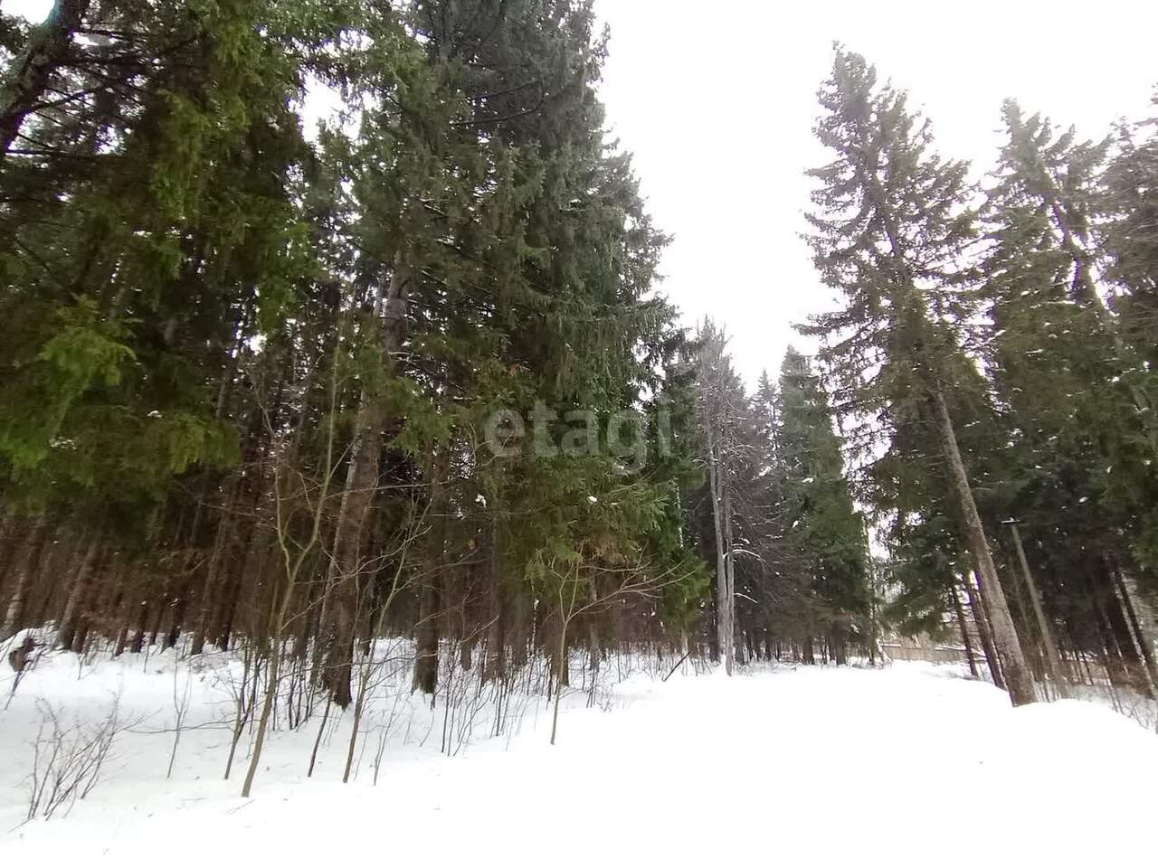 дом городской округ Солнечногорск п Смирновка снт Солнечное 0-я линия фото 45