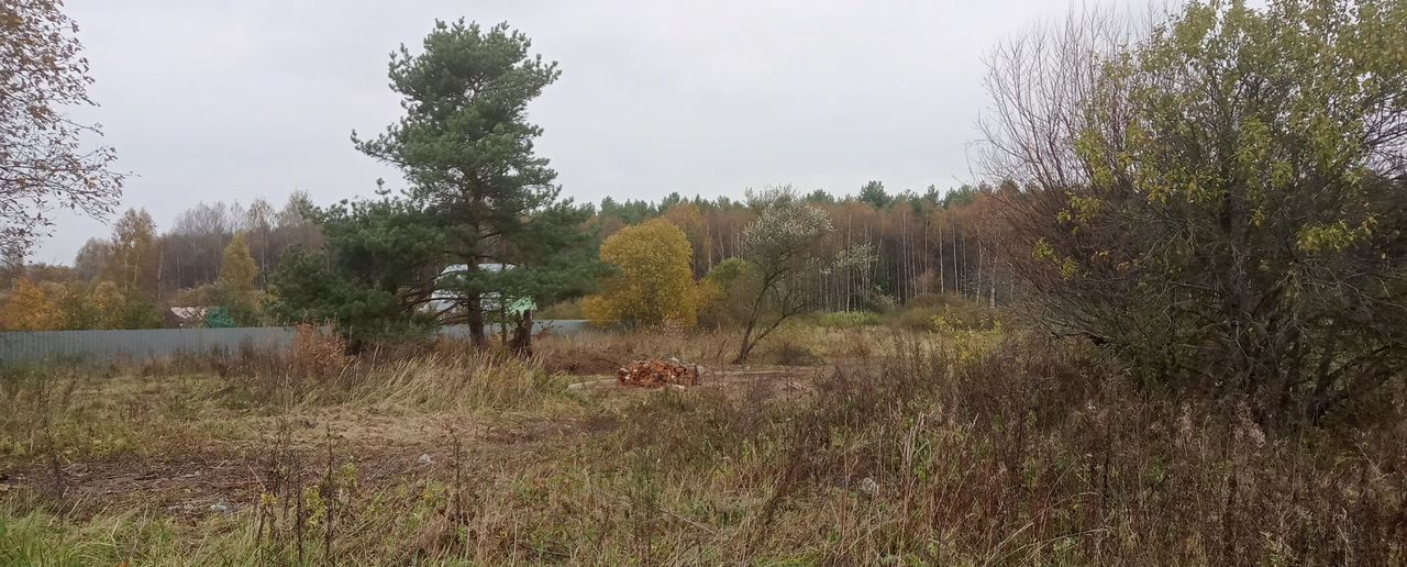 земля городской округ Талдомский с Николо-Кропотки 95 км, 41, Талдом, Дмитровское шоссе фото 1