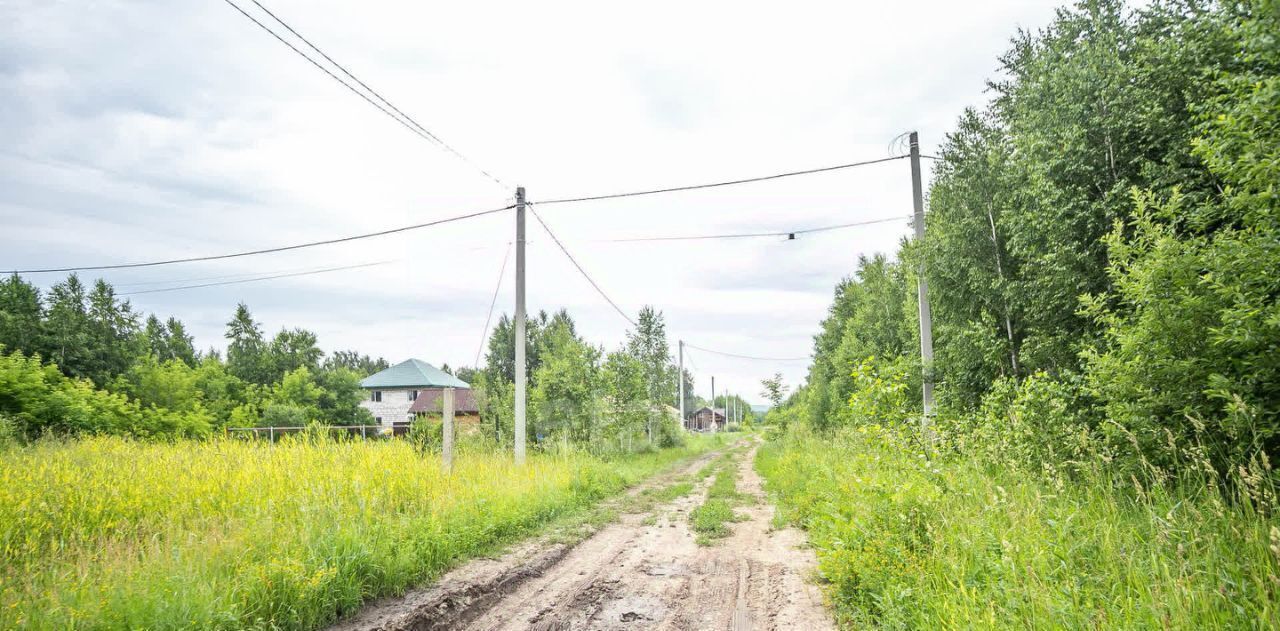 земля р-н Искитимский п Мичуринский сельсовет, Город-Сад ДНП, ул. Центральная фото 13