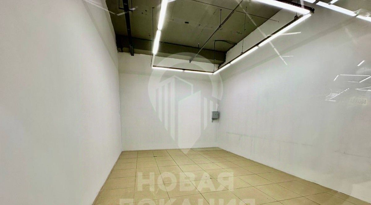торговое помещение г Омск р-н Центральный ул Березовского 19 фото 20