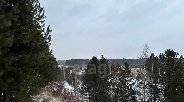 р-н Тавдинский д Белоярка фото