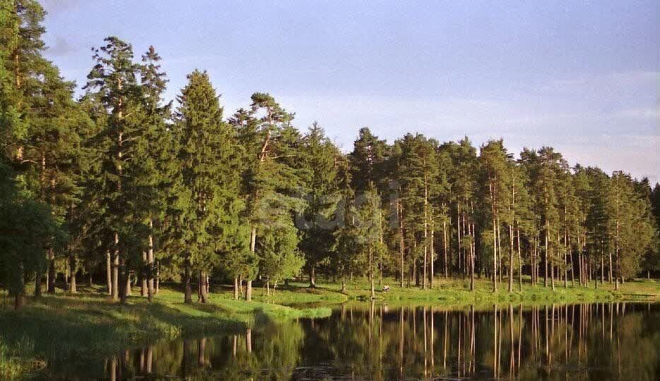 земля городской округ Одинцовский 18 км, территория Речное Поле, Лесной Городок, Можайское шоссе фото 2