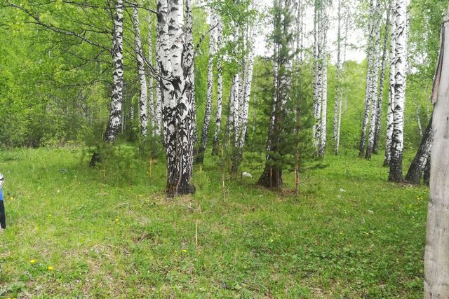 городской округ Дегтярск, посёлок Бережок фото