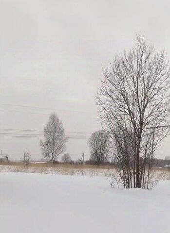 городской округ Талдомский с Квашёнки фото