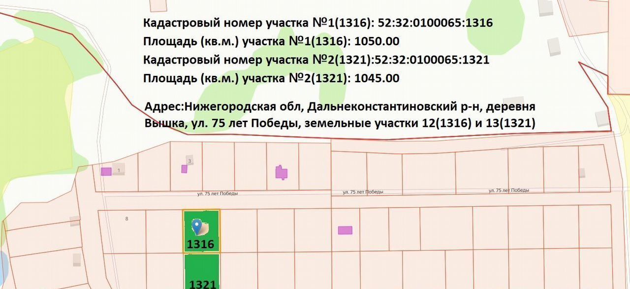 земля р-н Дальнеконстантиновский д Вышка ул 75 лет Победы Дальнее Константиново фото 1