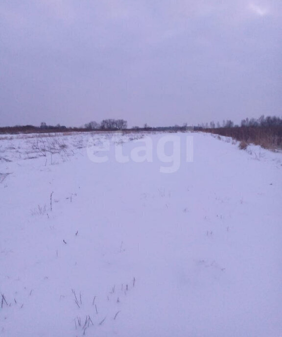 земля р-н Орловский п Куликовский фото 2