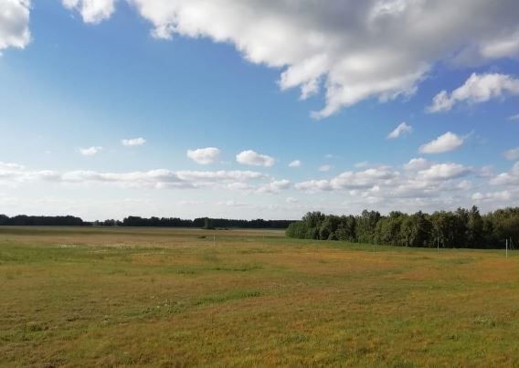 сельсовет, территория ТСН Времена года, Весенняя ул, Сокур фото