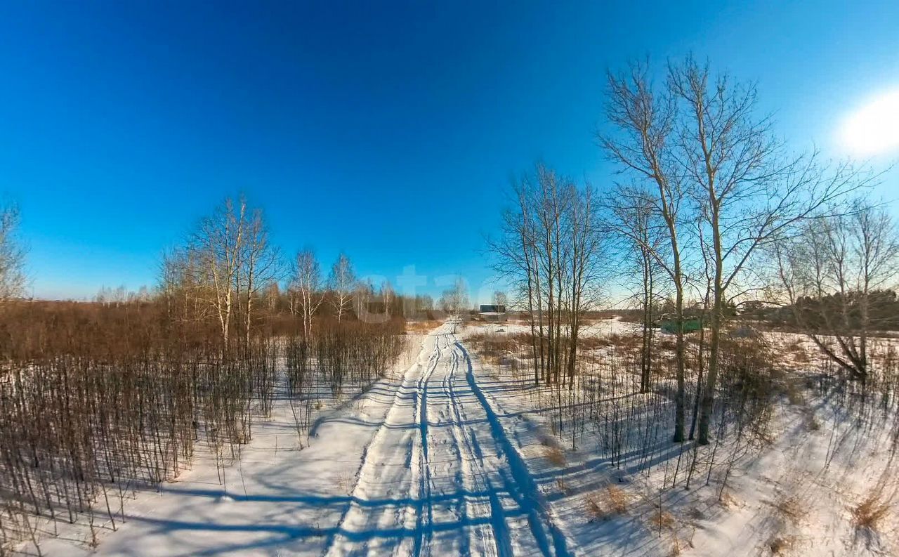 земля г Тюмень р-н Ленинский снт Яровское Сливовая ул фото 3