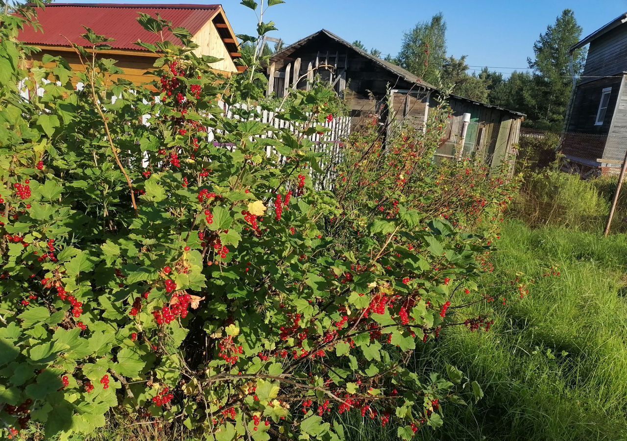 дом г Северодвинск снт Двина-1 ул 0 18 муниципальное образование фото 1