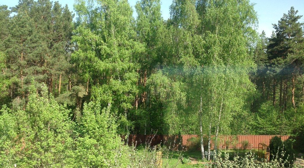 земля городской округ Одинцовский д Раздоры ДСК, Крылатское, 7, Буран фото 3