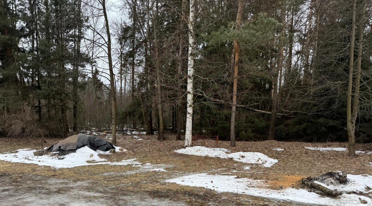 земля городской округ Богородский д Марьино Железнодорожная фото 1