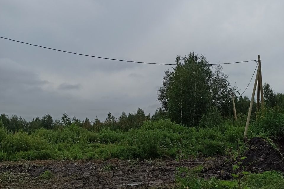 земля г Тюмень городской округ Тюмень, Садоводческое общество Яровское фото 3