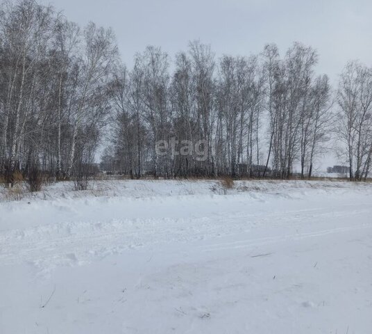 садовые участки Эко-городок фото