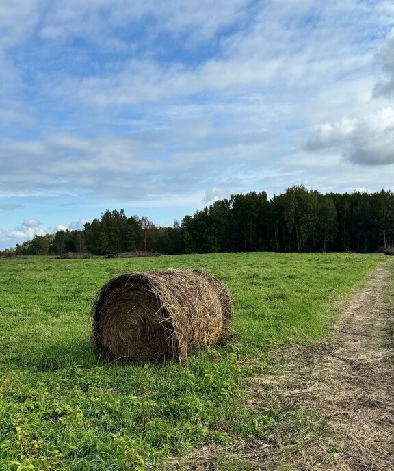 земля р-н Гурьевский п Добрино ул Веселая фото 1