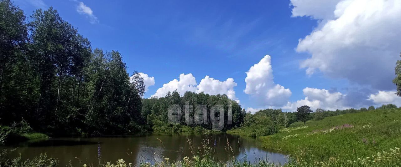 земля р-н Новосибирский п Каменушка Барышевский сельсовет фото 3