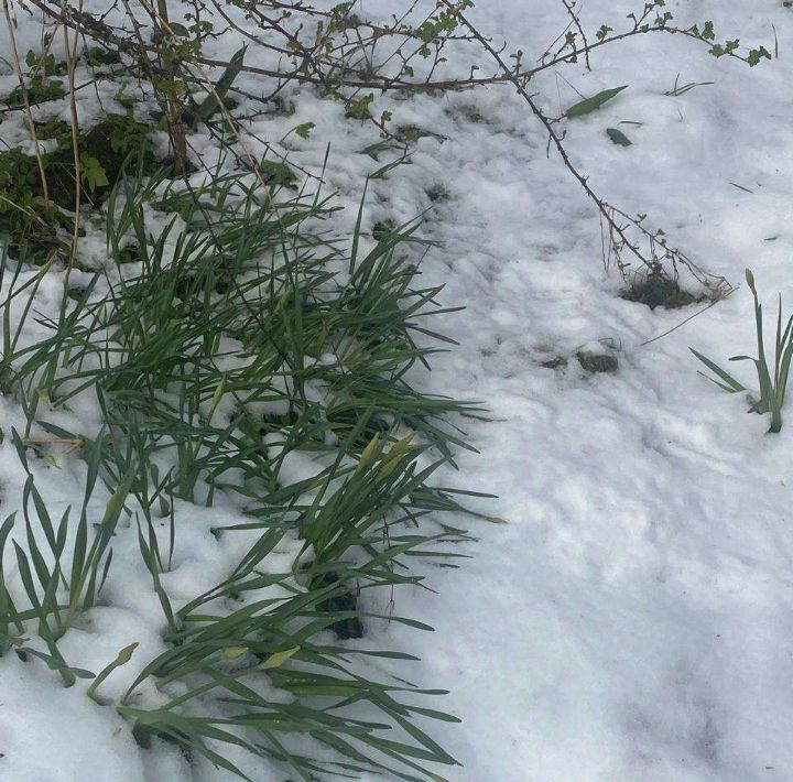 дом р-н Новгородский д Красные Станки Пролетарское городское поселение фото 12