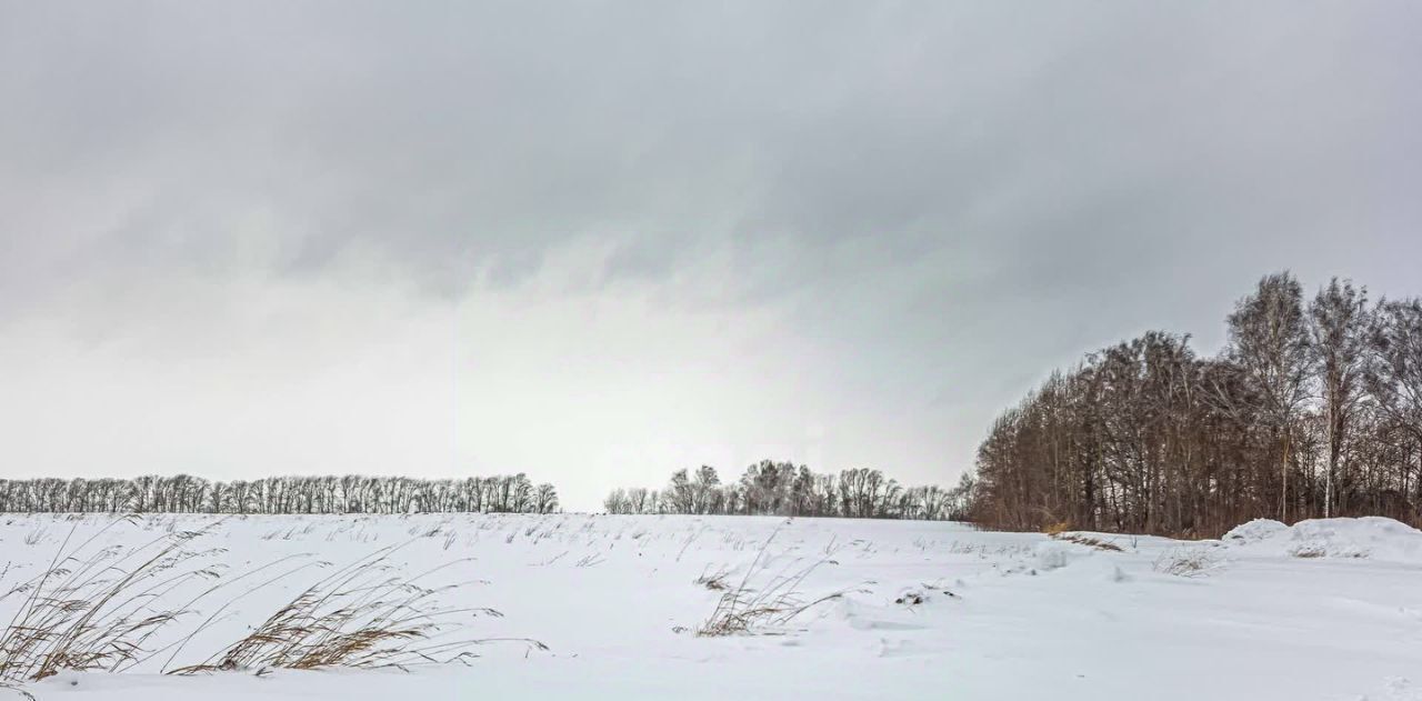 земля г Бердск снт Марьин Лог фото 5