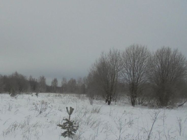 земля городской округ Дмитровский д Богданово фото 1