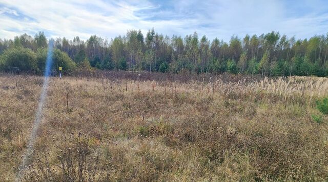 д Донино Раменское фото