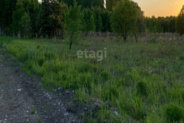 Криводановский сельсовет, садовое товарищество Весна фото