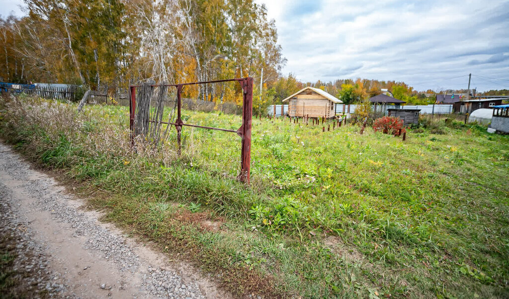 земля г Бердск снт Марьин Лог фото 7