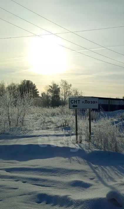 земля р-н Тюменский снт Лоза ул 7-я фото 1