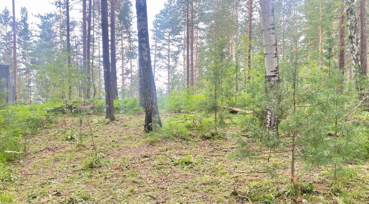 земля г Красноярск р-н Октябрьский ул Курганская фото 11