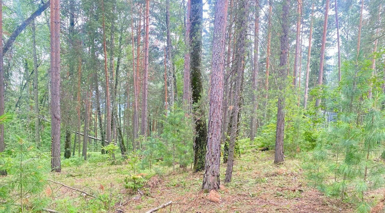 земля г Красноярск р-н Октябрьский ул Курганская фото 13