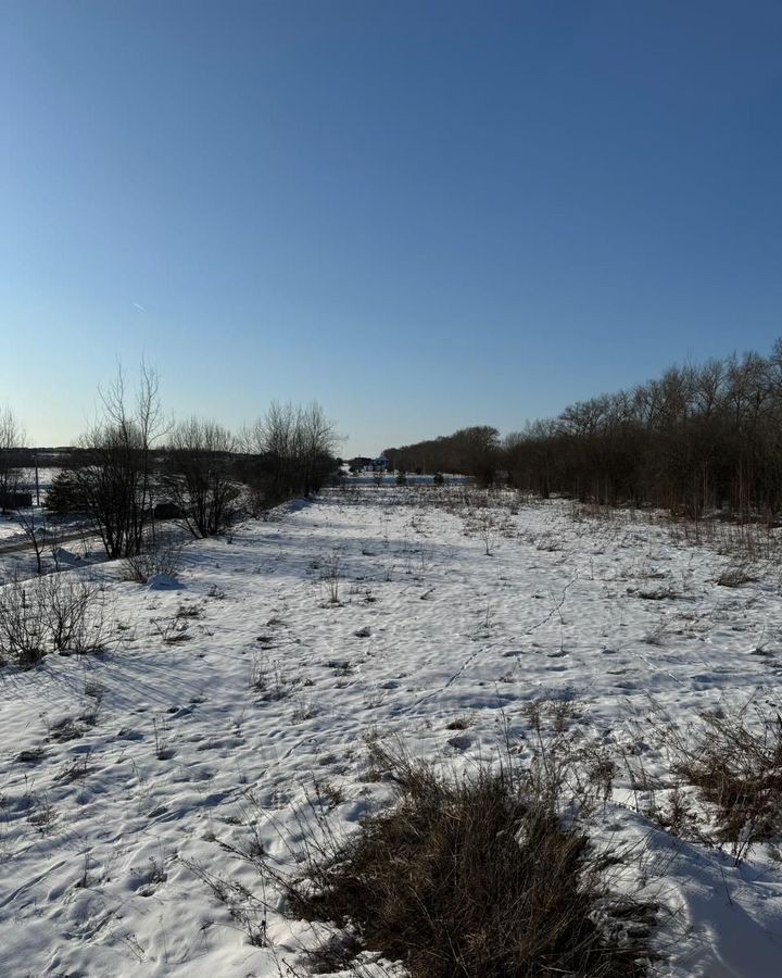 земля р-н Богородский д Крутец (Доскинский сельсовет) Буревестник фото 4