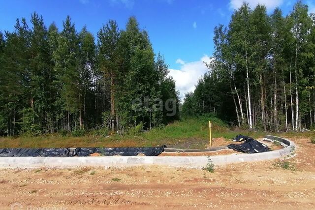 Сыктывкар городской округ, пгт Верхняя Максаковка фото