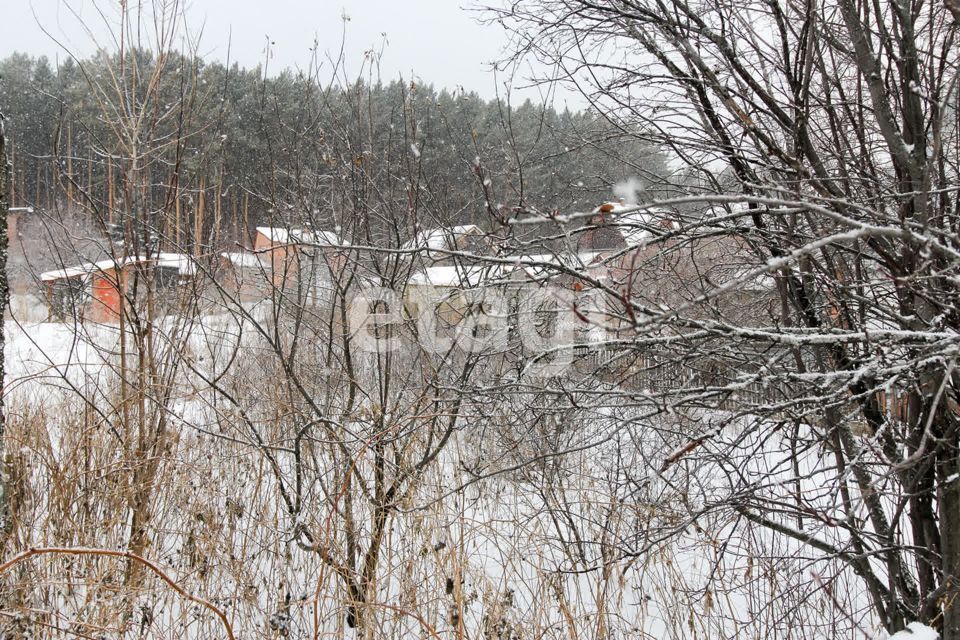 земля Красноярск городской округ, СК Берёзка-2 фото 2