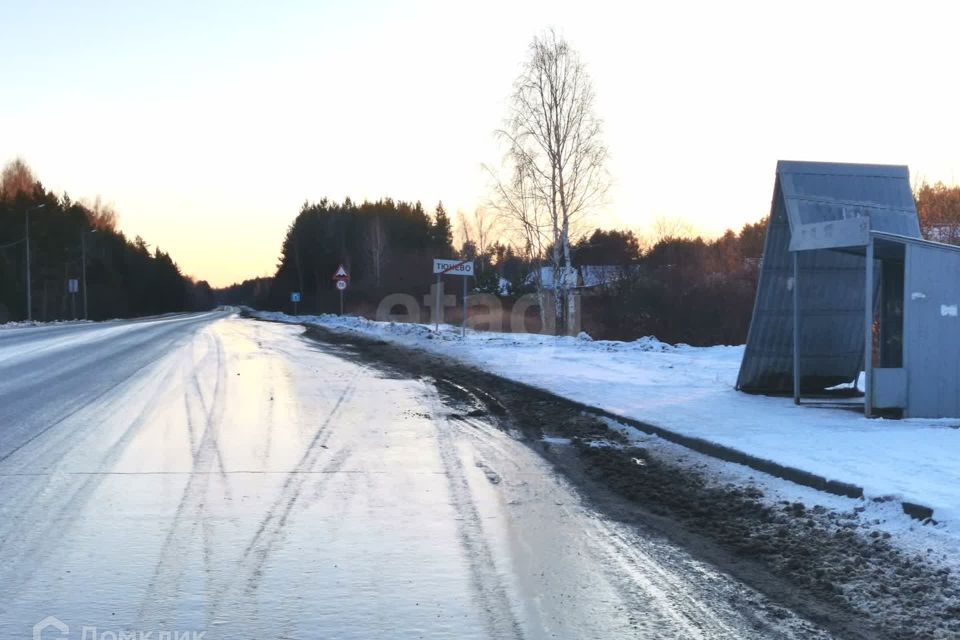 земля р-н Нижнетавдинский с Тюнево ул Звездная фото 9