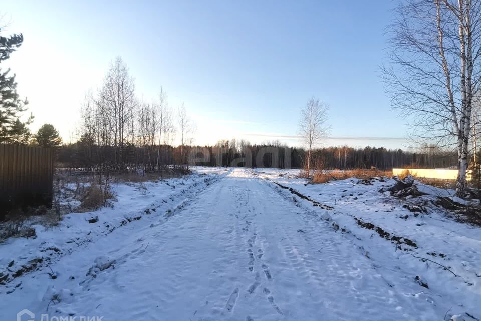 земля р-н Нижнетавдинский с Тюнево ул Звездная фото 10