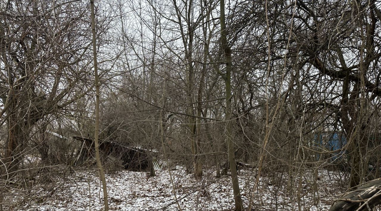 земля городской округ Раменский с Никоновское ул Колхозная фото 1