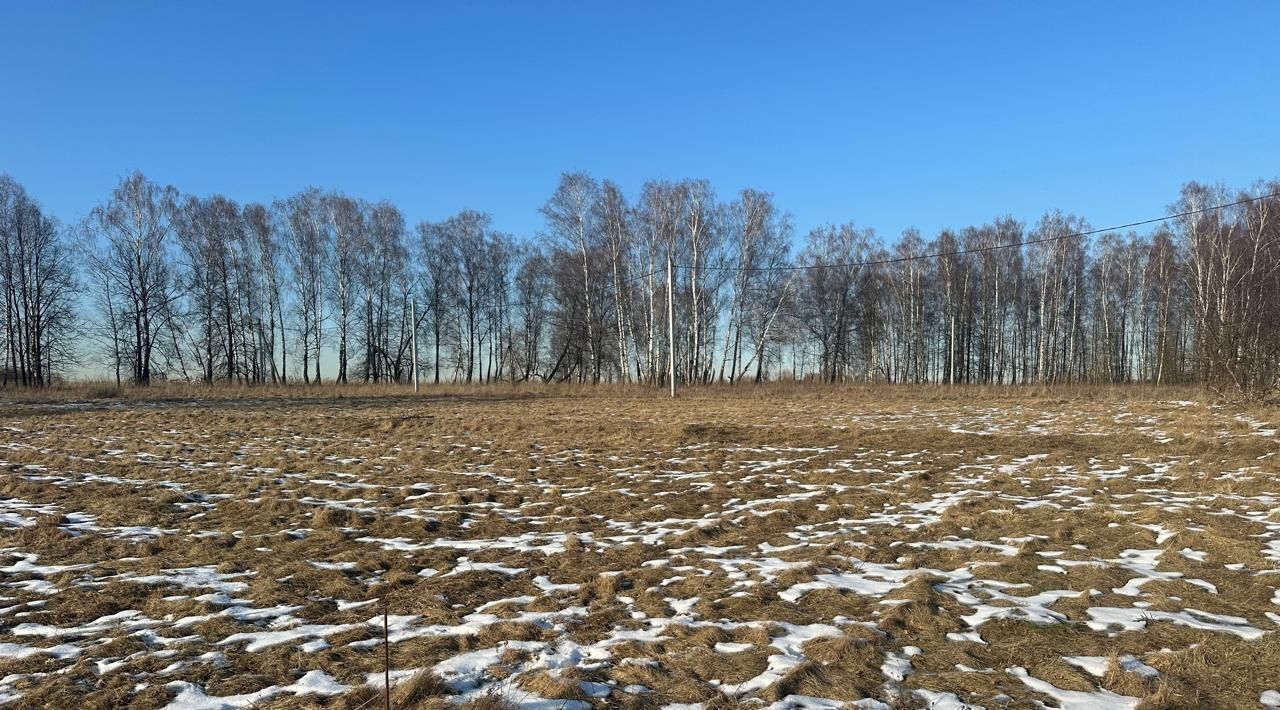 земля городской округ Ступино с Ивановское фото 1