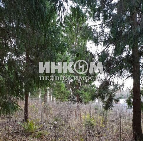 земля городской округ Солнечногорск д Холмы 5 фото