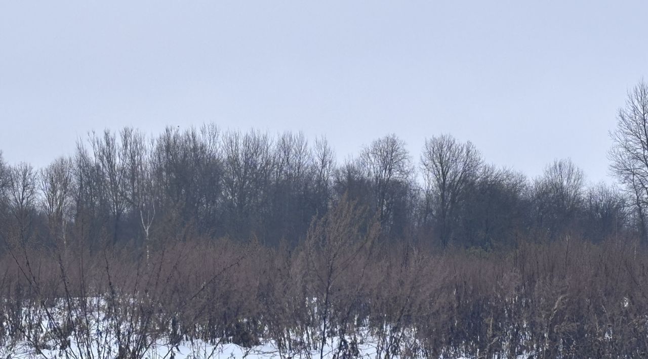 земля городской округ Клин д Еросимово фото 1