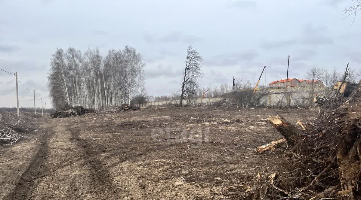 земля р-н Курский д Татаренкова Нижнемедведицкий сельсовет фото 10