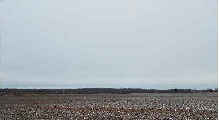 земля городской округ Дмитровский д Трехденево фото 1