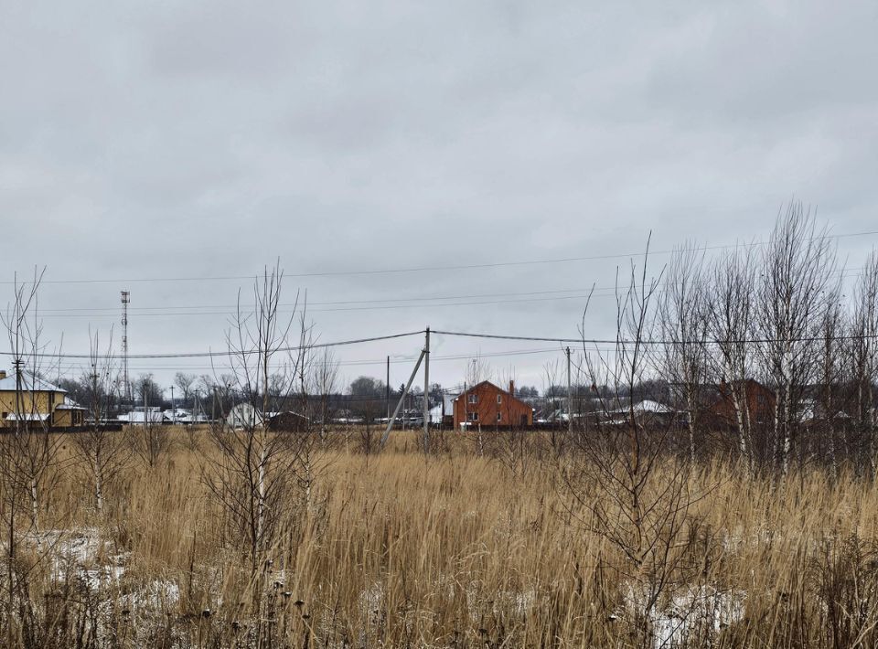 земля городской округ Луховицы п Совхоза Астапово фото 1