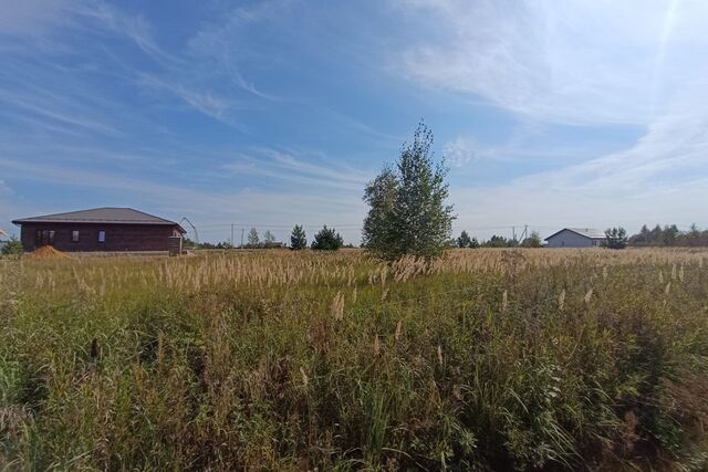 Дергаево-3, Раменский городской округ фото