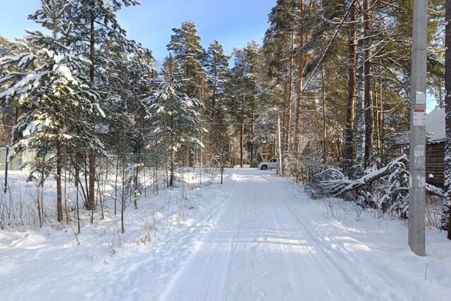 городской пос. Вырица фото