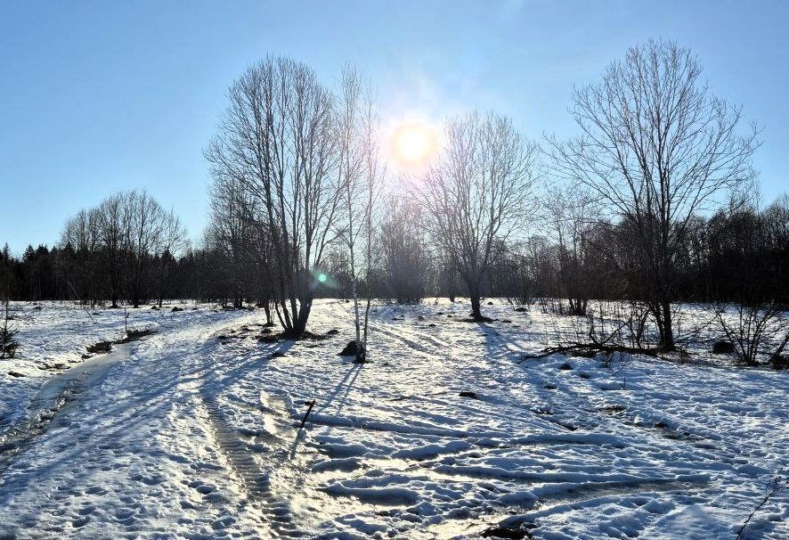 земля городской округ Клин д. Покровка фото 1