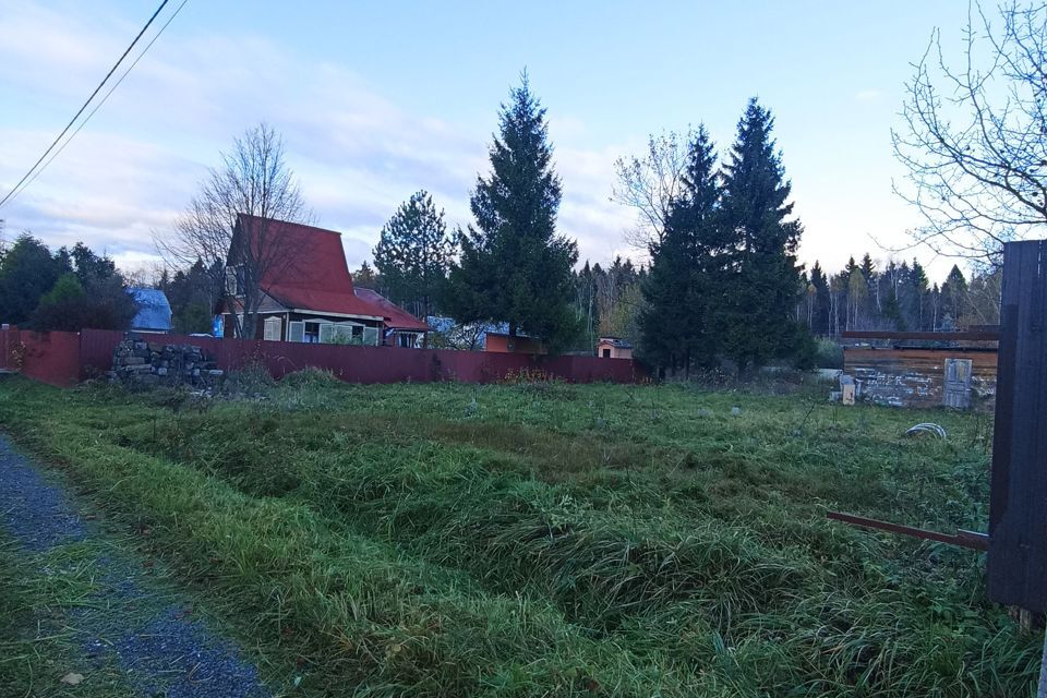 земля городской округ Талдомский садовое некоммерческое товарищество Приветино фото 2