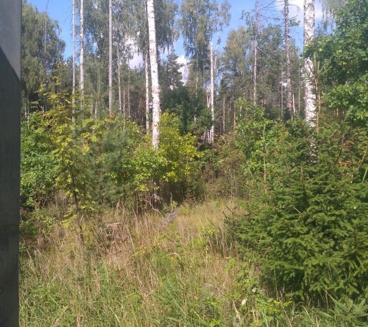 земля Электросталь городской округ, 159, СНТ Восток фото 2