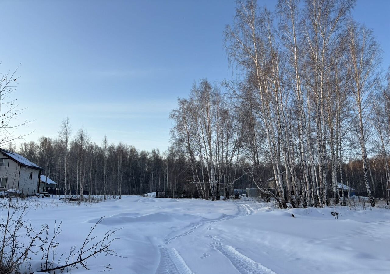 земля р-н Сосновский д Ключи Краснопольское сельское поселение, Челябинск фото 5