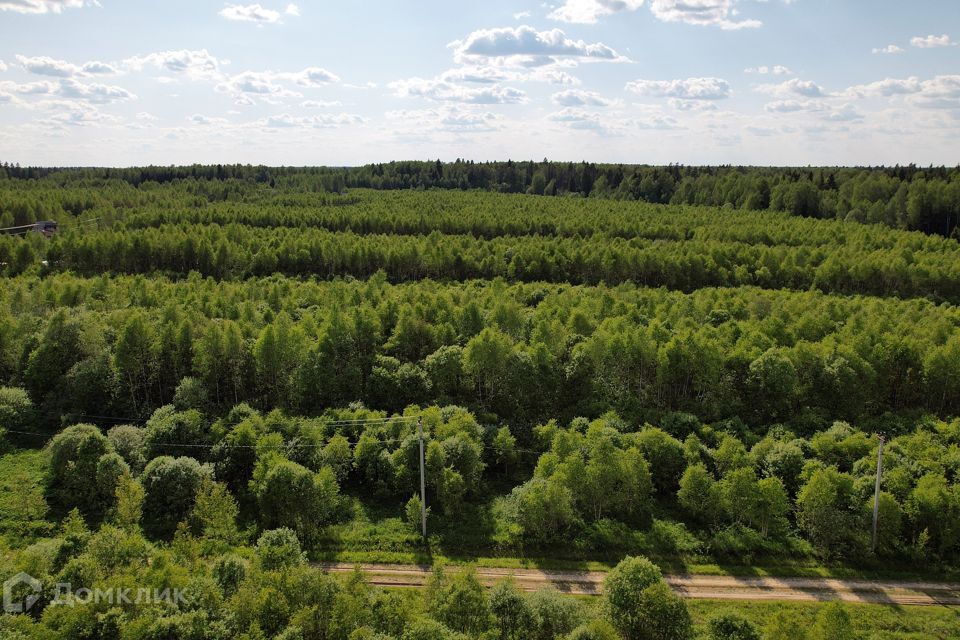 земля городской округ Можайский коттеджный посёлок Лесные Просторы, 168 фото 10