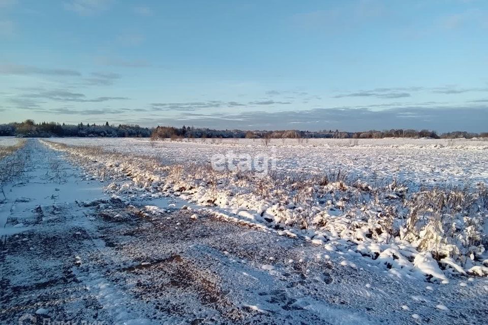 земля р-н Ломоносовский фото 5