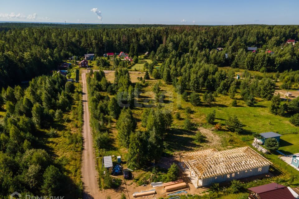 земля р-н Выборгский СНТ Старое Приветнинское фото 7