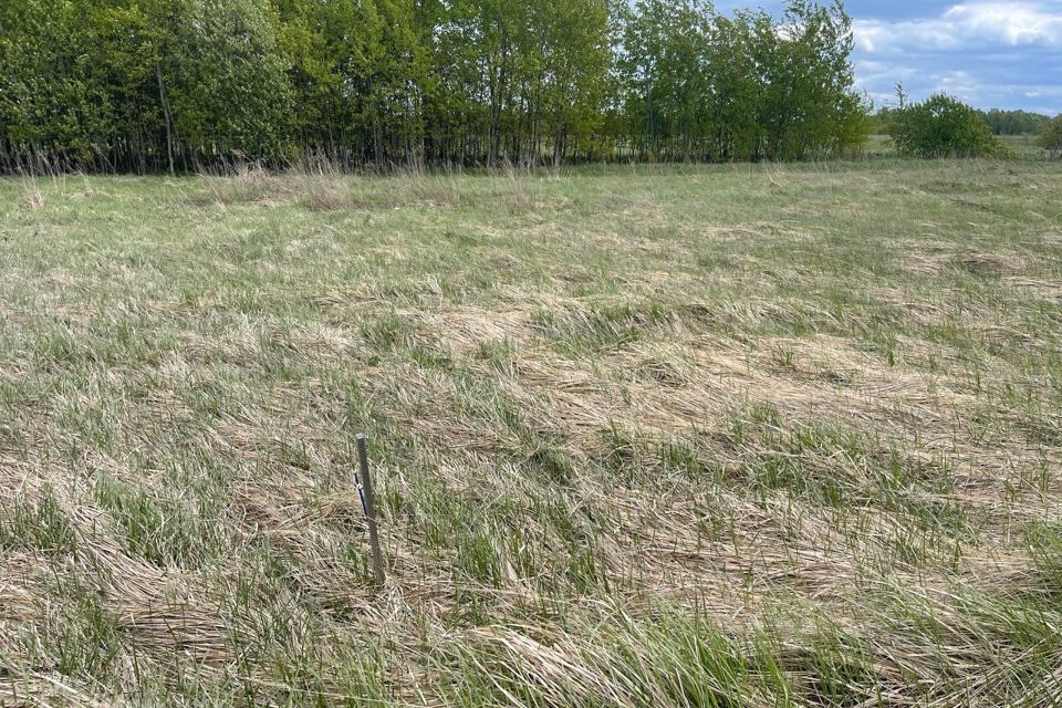 земля городской округ Раменский Вишнёвый сад фото 10